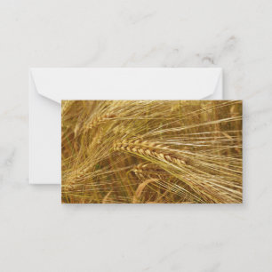 Tarjeta Pequeña Campo de trigo. ¡Es hora de cosecha!