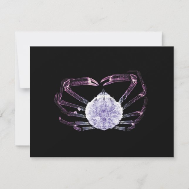Tarjeta Pequeña Cangrejo de rayos X (Anverso)