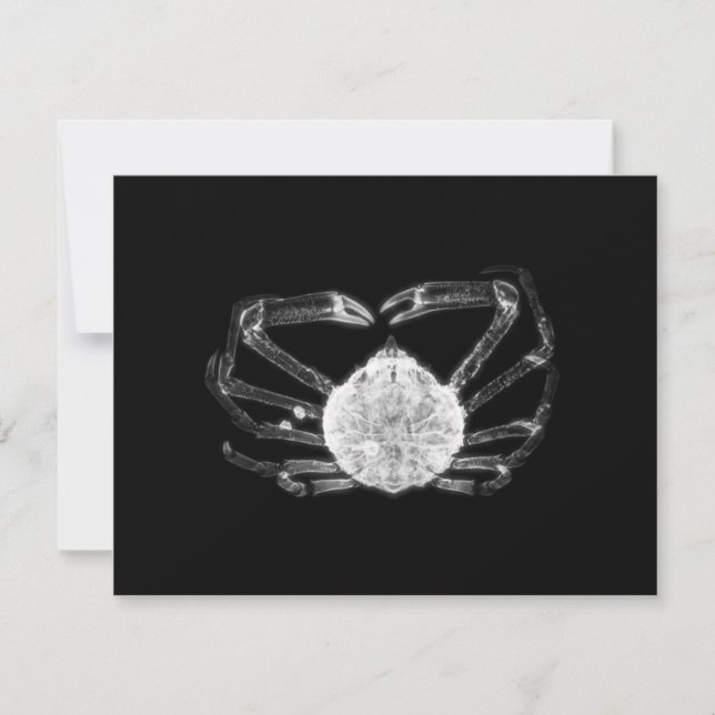 Tarjeta Pequeña Cangrejo de rayos X (Anverso)