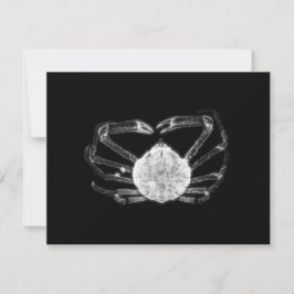Tarjeta Pequeña Cangrejo de rayos X