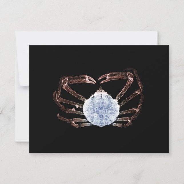 Tarjeta Pequeña Cangrejo de rayos X (Anverso)