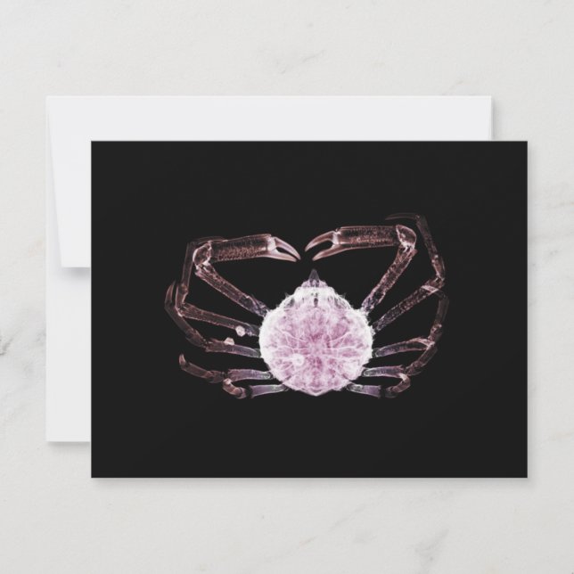 Tarjeta Pequeña Cangrejo de rayos X (Anverso)