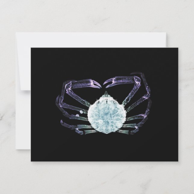 Tarjeta Pequeña Cangrejo de rayos X (Anverso)