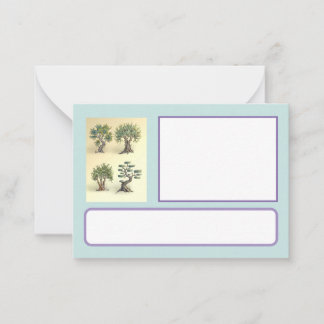 Tarjeta Pequeña carte avec les oliviers taillés Provence.