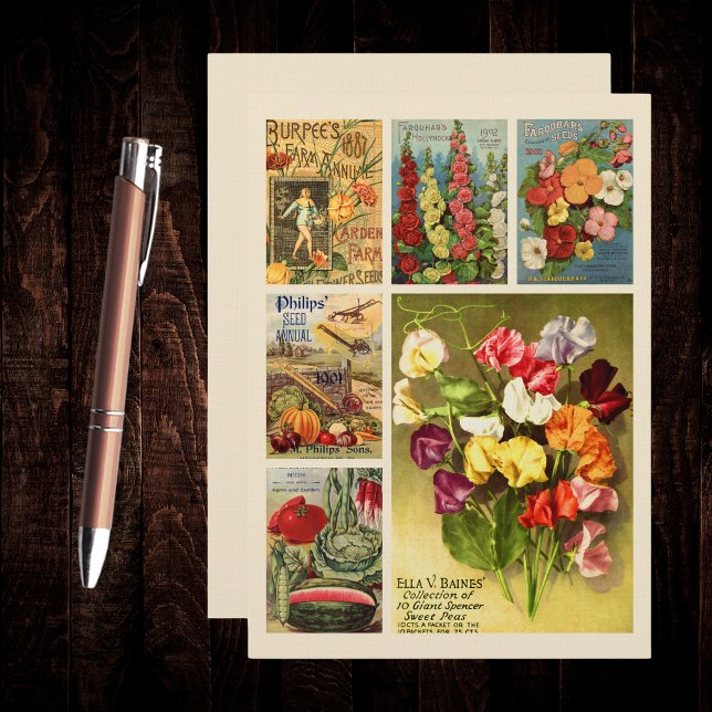 Tarjeta Pequeña Catálogo de paquetes de semillas Collage Granja de (Subido por el creador)