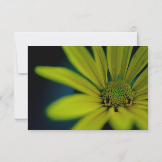 Tarjeta Pequeña Cerrar flor silvestre amarillo (Anverso)
