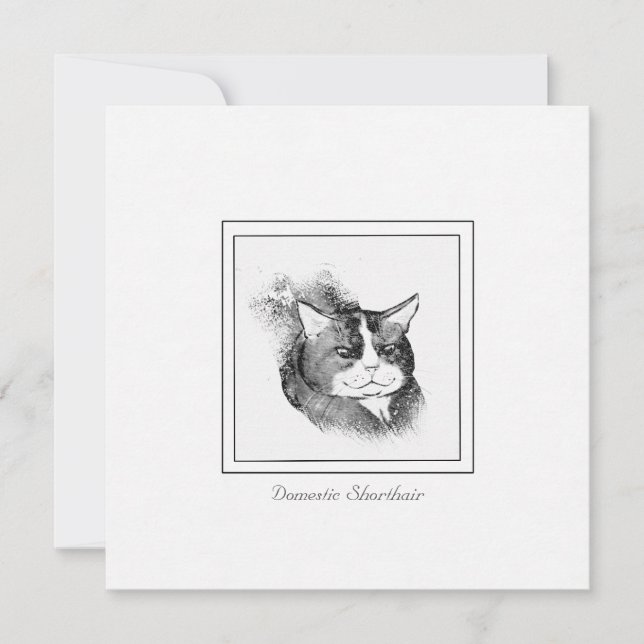 Tarjeta Pequeña Chaleco doméstico de gatos y carbón vegetal (Anverso)