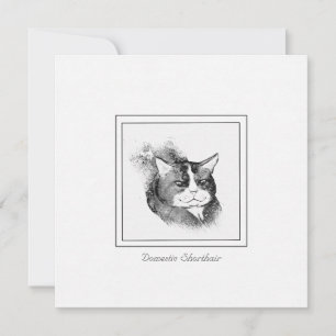 Tarjeta Pequeña Chaleco doméstico de gatos y carbón vegetal