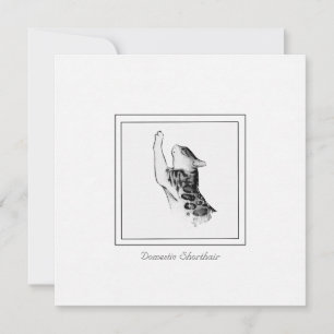 Tarjeta Pequeña Chalk de gato moderno y boceto blanco y negro de c