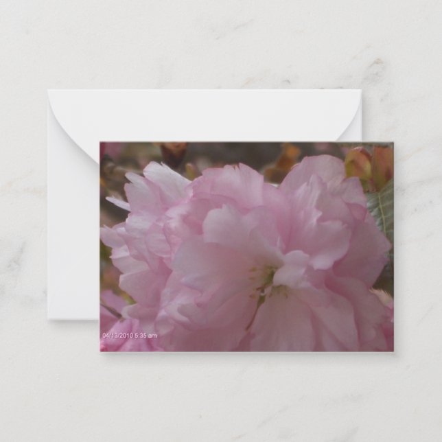 Tarjeta Pequeña Cherry Blossom Sympathy Card (Anverso)