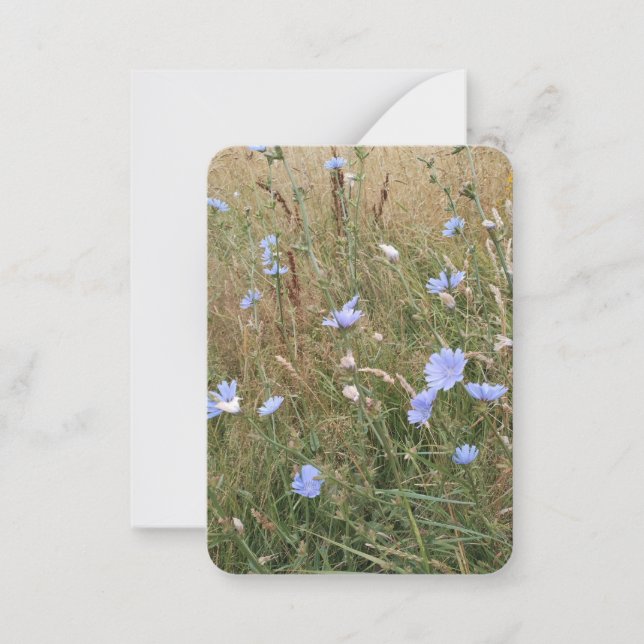 Tarjeta Pequeña Chicory (Anverso)