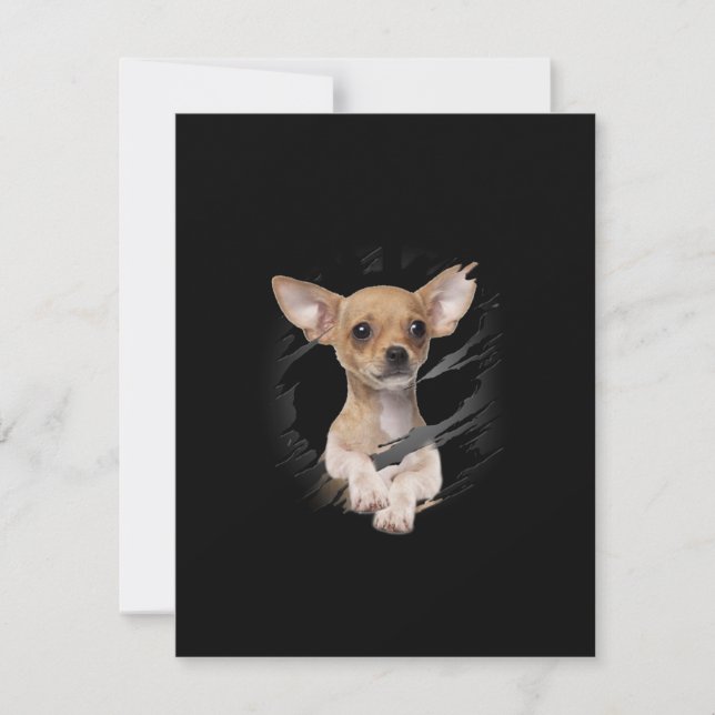 Tarjeta Pequeña Chihuahua (Anverso)