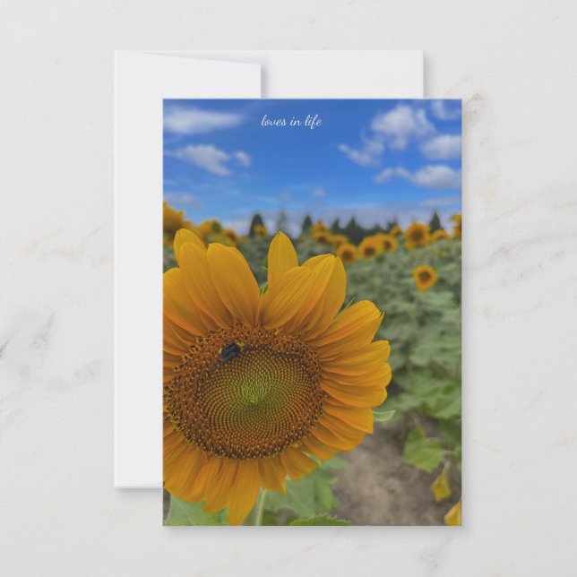 Tarjeta Pequeña Cielos de girasol, abeja y azul (Anverso)