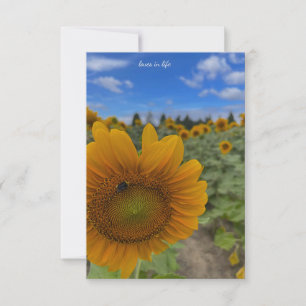 Tarjeta Pequeña Cielos de girasol, abeja y azul