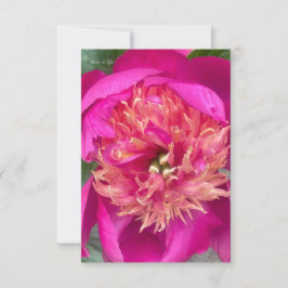 Tarjeta Pequeña Cierre de Hot Pink Peony