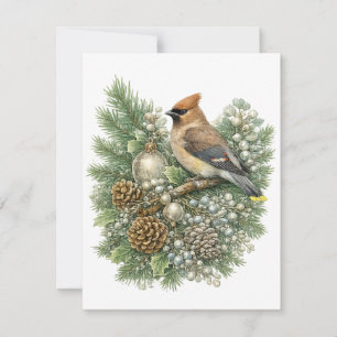 Tarjeta Pequeña Colección de aves cantoras de invierno Cedar Waxwi