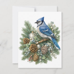 Tarjeta Pequeña Colección de pájaros cantores de invierno Blue Jay
