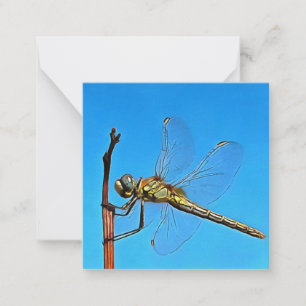 Tarjeta Pequeña Colgar Sobre La Dragonfly Artística Contra El Azul