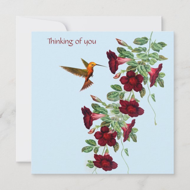 Tarjeta Pequeña Colibrí y Flores Rojas (Anverso)
