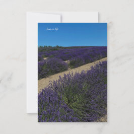 Tarjeta Pequeña Colina de Filas de Lavender