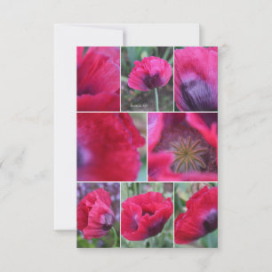 Tarjeta Pequeña Collage de Amapola Rosa