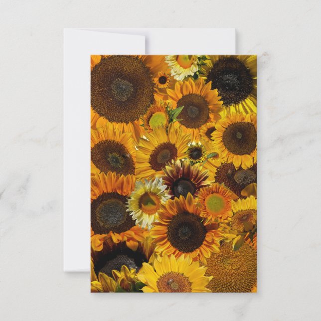 Tarjeta Pequeña Collage de girasoles  (Anverso)