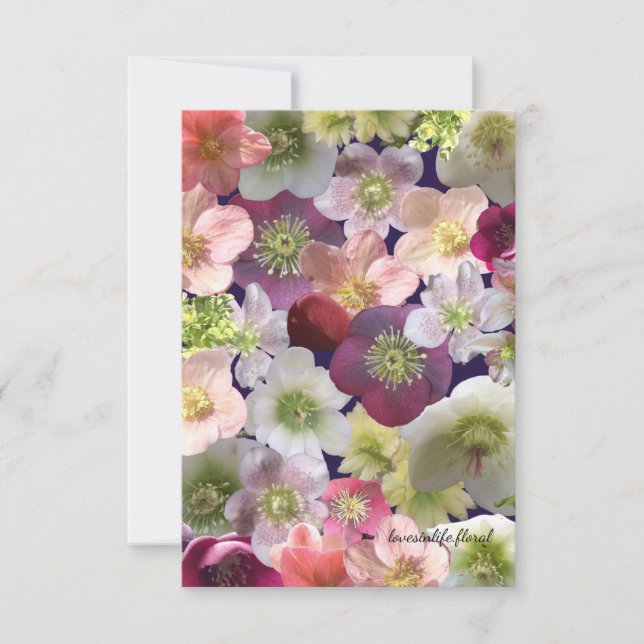 Tarjeta Pequeña Collage de Hellebore  (Anverso)