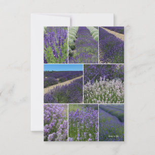 Tarjeta Pequeña Collage de Lavender