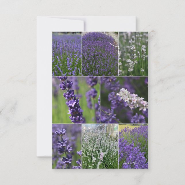 Tarjeta Pequeña Collage de Lavender 2 (Anverso)