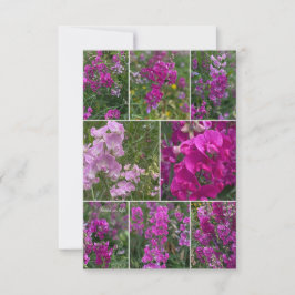 Tarjeta Pequeña Collage Pea Rosa Salvaje
