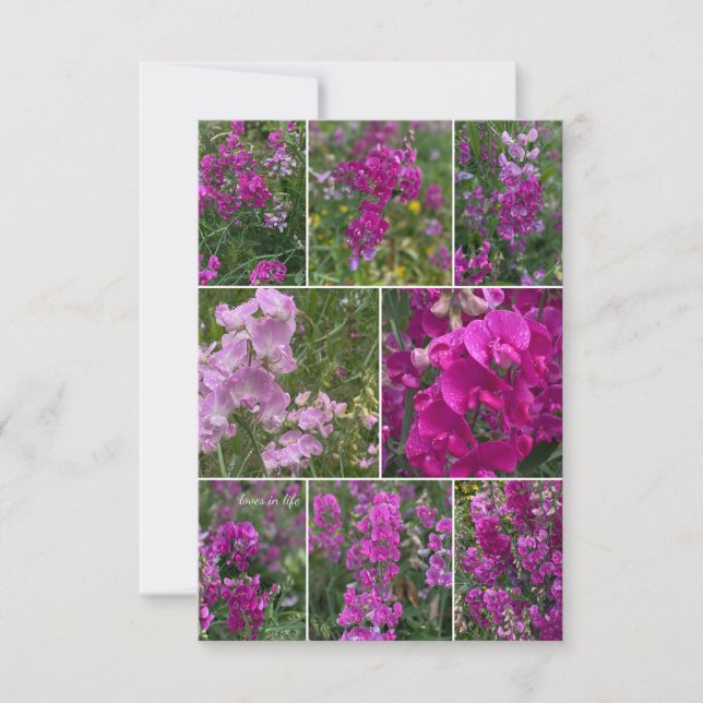 Tarjeta Pequeña Collage Pea Rosa Salvaje (Anverso)