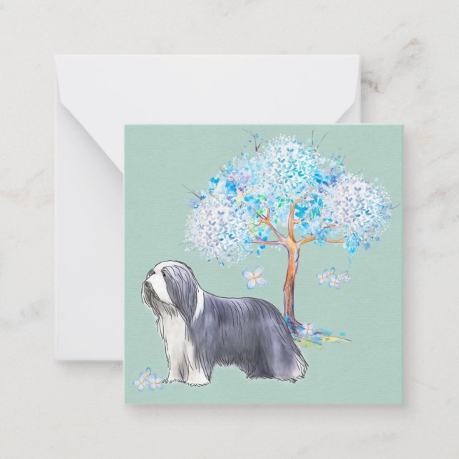 Tarjeta Pequeña Collie barbudo (Anverso)