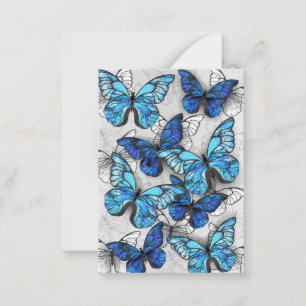 Tarjeta Pequeña Composición de las mariposas blancas y azules