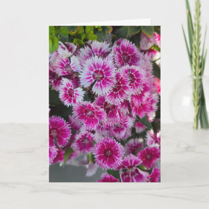 Tarjeta pequeña con flores rosadas