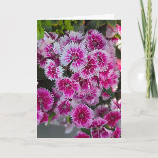 Tarjeta pequeña con flores rosadas