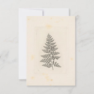 Tarjeta Pequeña Correspondencia de fern vintage Naturaleza foresta