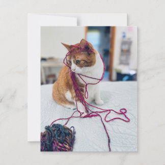 Tarjeta Pequeña Cozy Orange Tabby Note Cards for Cat Lovers