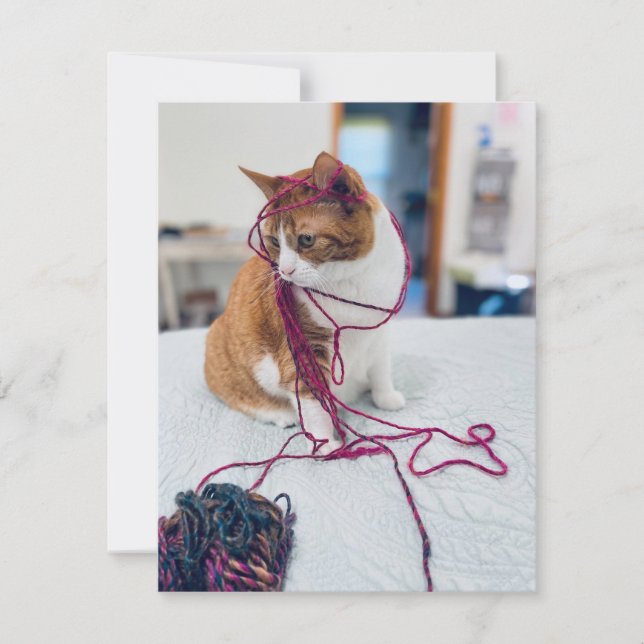 Tarjeta Pequeña Cozy Orange Tabby Note Cards for Cat Lovers (Anverso)
