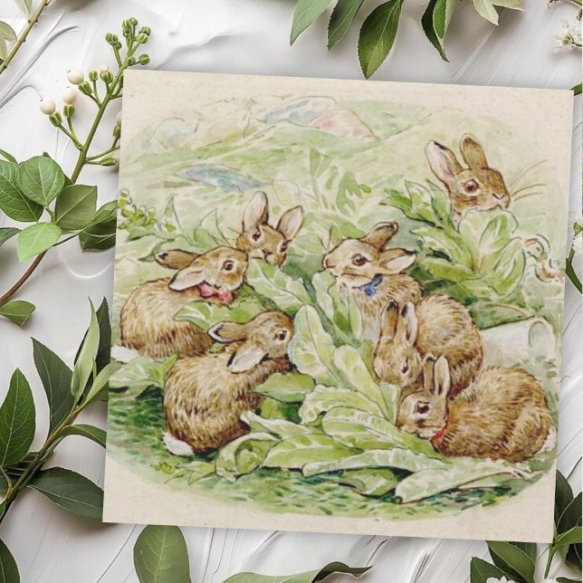Tarjeta Pequeña Cuento de Beatrix Potter de los conejitos Flopsy (Subido por el creador)
