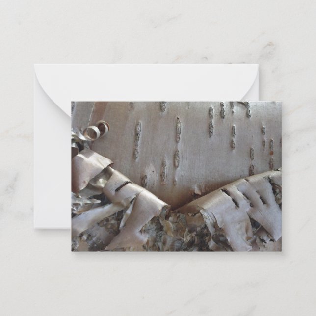 Tarjeta Pequeña Curly Birch Bark Tree Rustic Flat Note Card (Anverso)