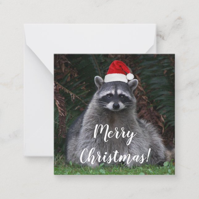 Tarjeta Pequeña Cuto Raccoon con sombrero de Santa Red (Anverso)