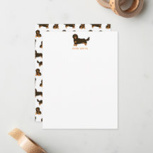 Dachshund de pelo largo