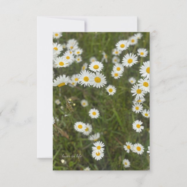 Tarjeta Pequeña Daisies (Anverso)
