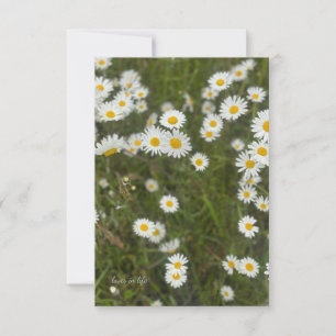 Tarjeta Pequeña Daisies