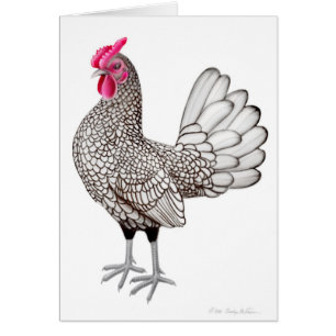 Tarjeta pequena de plata del gallo de Sebright