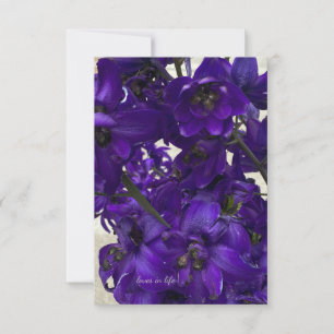 Tarjeta Pequeña Delfino morado