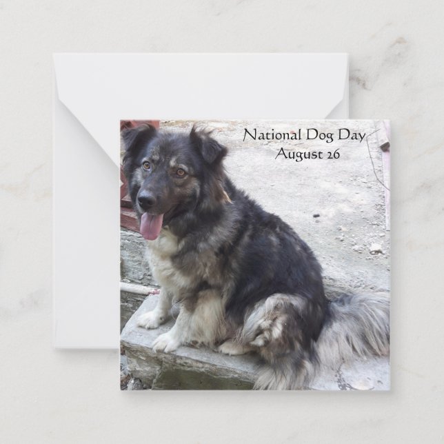 Tarjeta Pequeña Día Nacional del Perro (Anverso)