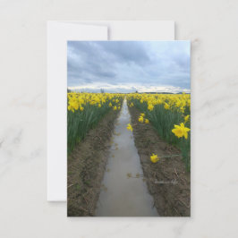 Tarjeta Pequeña Día nublado Daffodils