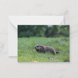 Tarjeta Pequeña Digger del agujero del diablo