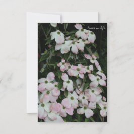 Tarjeta Pequeña Dogwood